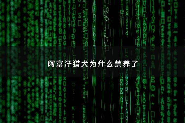 阿富汗猎犬为什么禁养了 - 阿富汗猎犬禁养原因