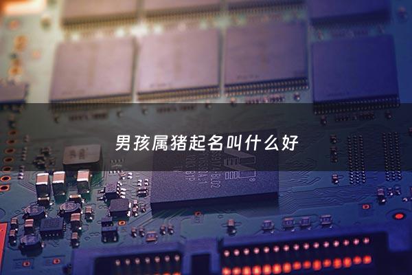 男孩属猪起名叫什么好 - 男孩属猪大气响亮的名字