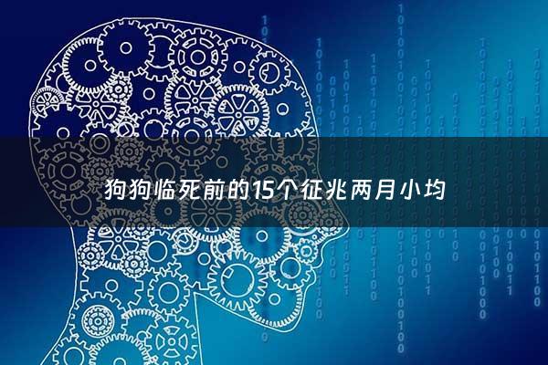 狗狗临死前的15个征兆两月小均 - 狗狗临死前的表现10天 症状