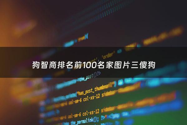 狗智商排名前100名家图片三*** - 狗智商排名第三