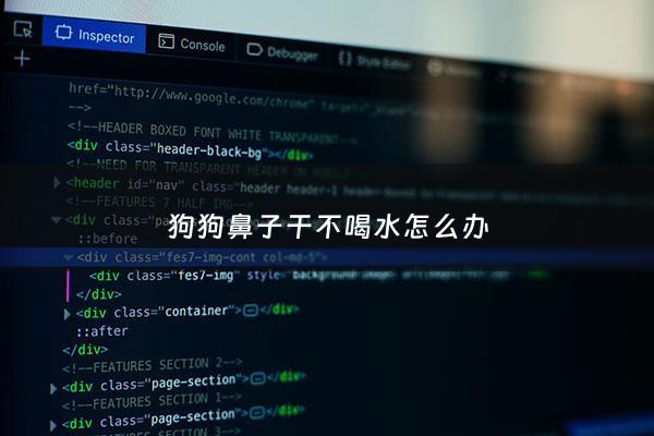 狗狗鼻子干不喝水怎么办 - 狗狗鼻子干不吃不喝是怎么了
