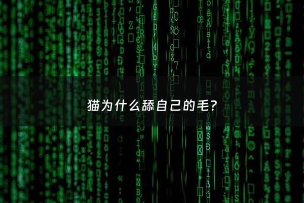 猫为什么舔自己的毛? - 猫猫为什么舔自己