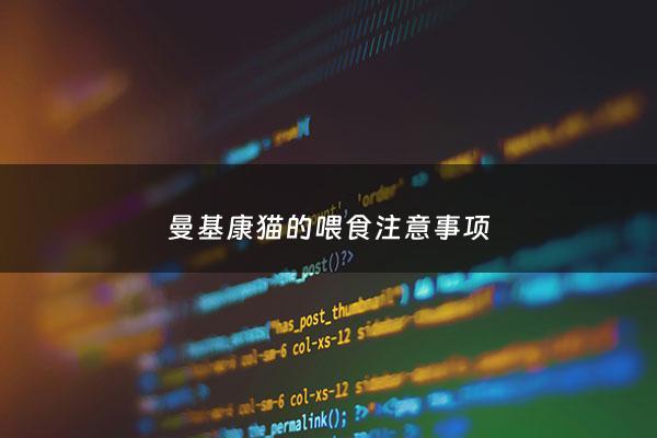 曼基康猫的喂食注意事项 - 曼基康猫吃什么猫粮