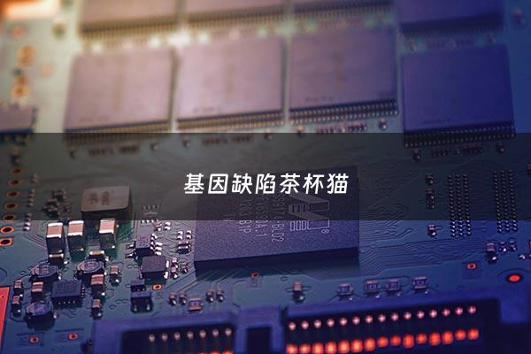 基因缺陷茶杯猫 - 纯种猫基因缺陷