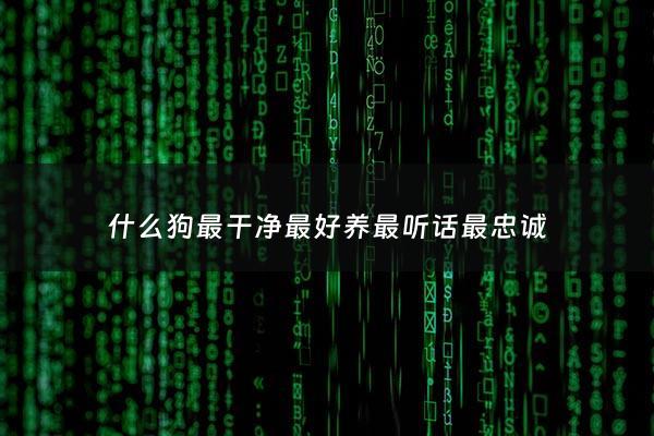 什么狗最干净最好养最听话最忠诚 - 什么狗最干净最好养最可爱