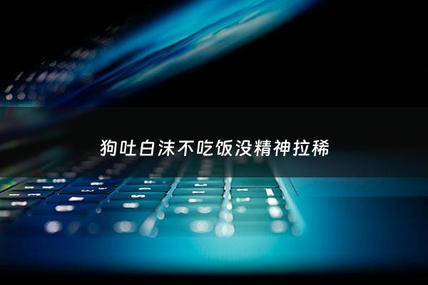 狗吐白沫不吃饭没精神拉稀 - 狗狗吐白沫拉稀没精神是什么原因