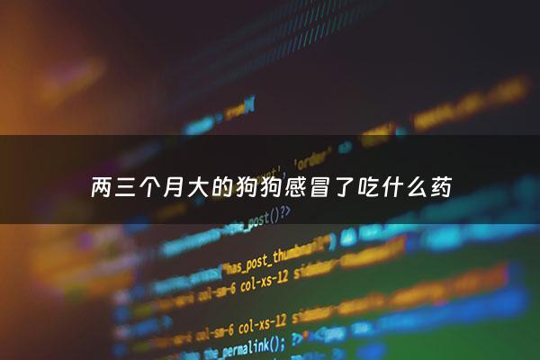 两三个月大的狗狗感冒了吃什么药 - 3个月的狗狗感冒吃什么药