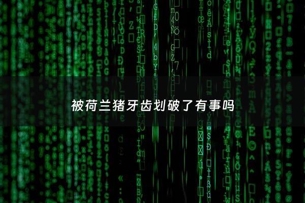 被荷兰猪牙齿划破了有事吗 - 被荷兰猪咬破皮了没有流血有事吗