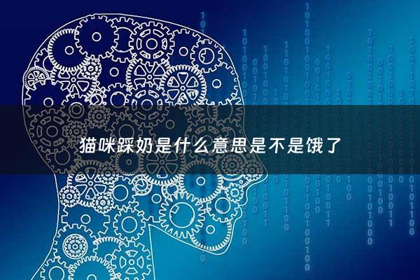 猫咪踩奶是什么意思是不是饿了 - 猫咪踩奶是什么意思是不是饿了的表现
