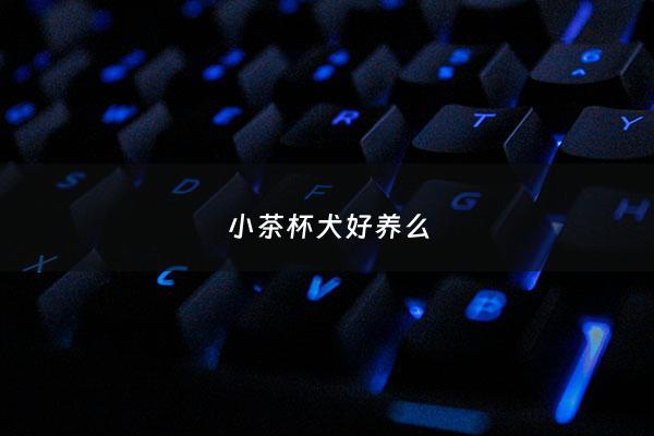 小茶杯犬好养么 - 小茶杯犬的图案