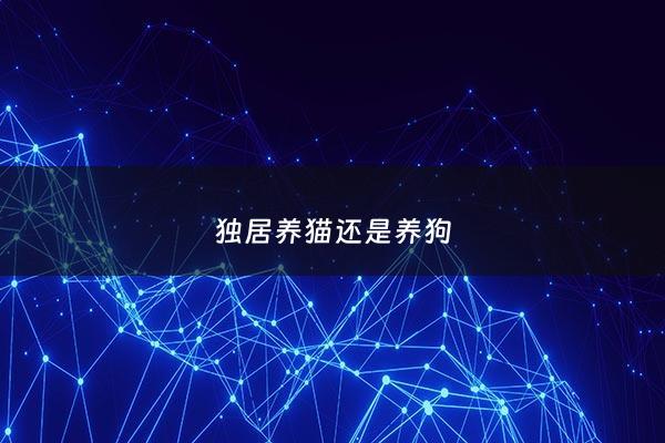 独居养猫还是养狗 - 独居养猫会缓解孤独吗
