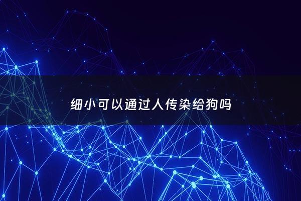 细小可以通过人传染给狗吗 - 细小会传染给别的狗吗?