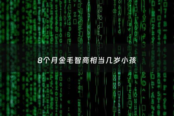 8个月金毛智商相当几岁小孩 - 八个月的金毛得多重正常