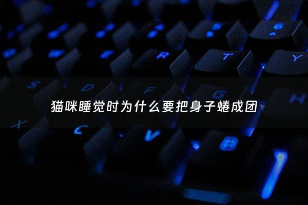 猫咪睡觉时为什么要把身子蜷成团 - 猫咪睡觉时为什么把身体缩成一团