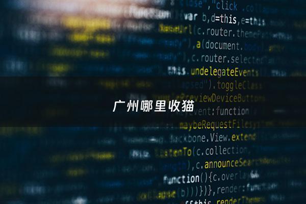 广州哪里收猫 - 广州***收购猫