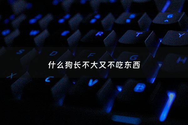 什么狗长不大又不吃东西 - 什么狗长不大又不吃东西还很瘦