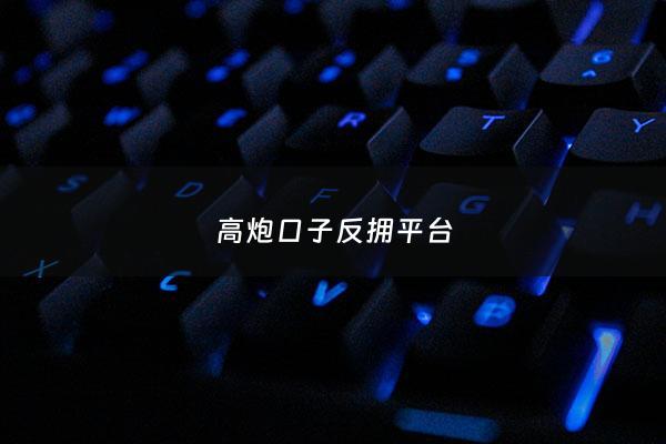 高炮口子反拥平台 - 2021高炮口子合集