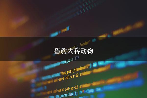 猎豹犬科动物 - 猎豹是犬科动物还是猫科动物