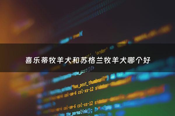 喜乐蒂牧羊犬和苏格兰牧羊犬哪个好 - 苏格兰牧羊犬 带血统*** 喜乐蒂 终身质保 签协议