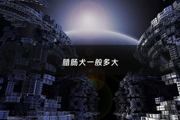 腊肠犬一般多大 - 腊肠犬一般多大可以洗澡
