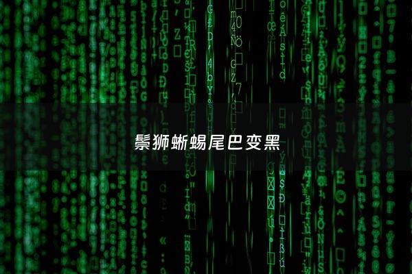鬃狮蜥蜴尾巴变黑 - 鬃狮蜥尾巴凹陷露骨