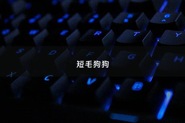 短毛狗狗 - 短毛狗狗冬天需要穿衣服吗