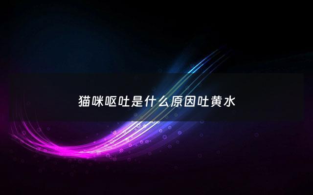 猫咪呕吐是什么原因吐黄水 - 为什么猫咪呕吐黄水
