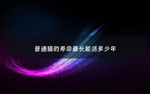 普通猫的寿命最长能活多少年 - 普通的猫可以活多久