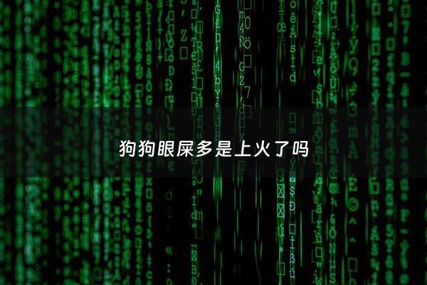 狗狗眼屎多是上火了吗 - 狗狗眼屎多是上火了吗怎么办