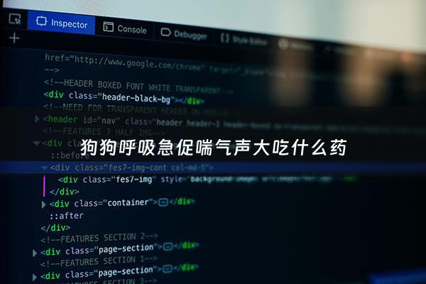 狗狗呼吸急促喘气声大吃什么药 - 狗狗呼吸急促喘气声大怎么办