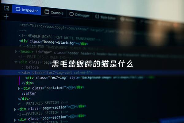 黑毛蓝眼睛的猫是什么 - 黑色蓝眼睛是什么猫