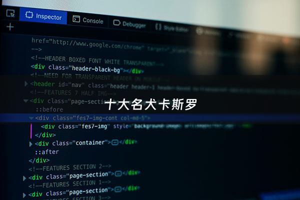 十大名犬卡斯罗 - 卡斯罗犬名字大全霸气100个