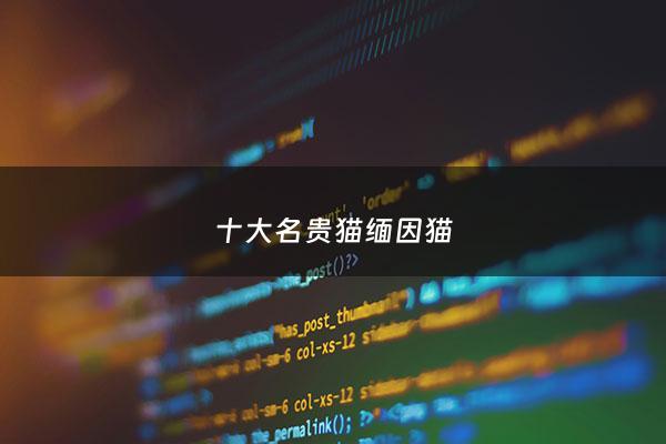 十大名贵猫缅因猫 - 缅因猫价格价值