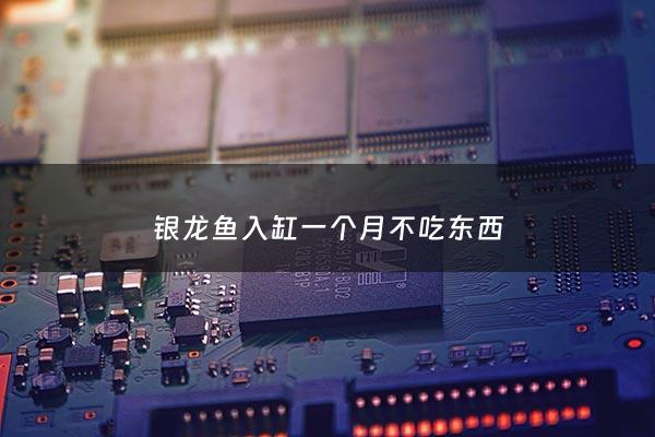 银龙鱼入缸一个月不吃东西 - 银龙鱼买回来半个月了一直不吃