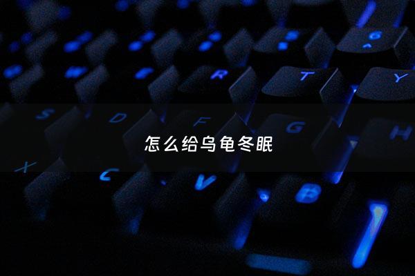 怎么给乌龟冬眠 - 怎么乌龟冬眠结束