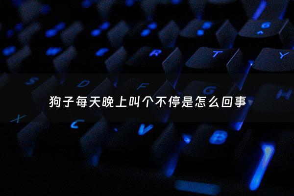 狗子每天晚上叫个不停是怎么回事 - 狗每天晚上嚎叫好不好
