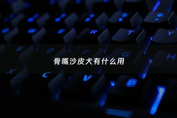 骨嘴沙皮犬有什么用 - 骨嘴沙皮狗的性格特征