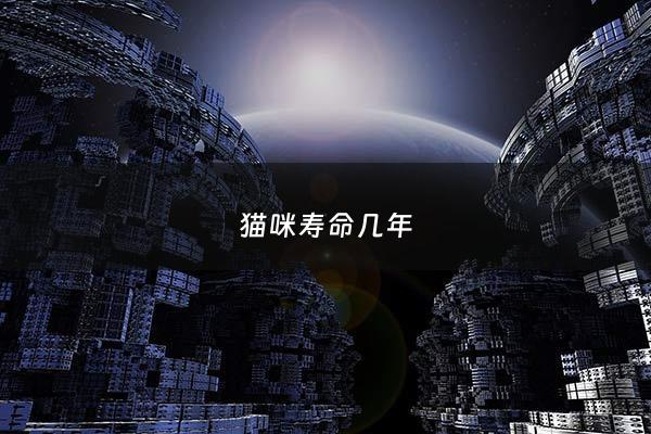 猫咪寿命几年 - 猫咪寿命几年最长