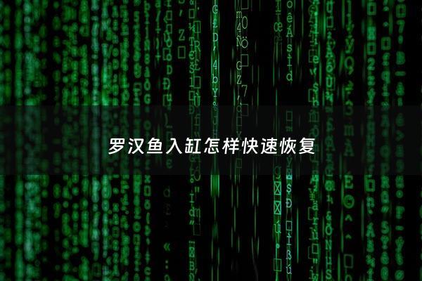 罗汉鱼入缸怎样快速恢复 - 罗汉鱼入缸注意事项