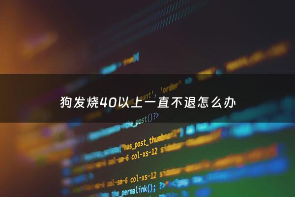 狗发烧40以上一直不退怎么办 - 狗狗发烧40度怎么办、吃什么药
