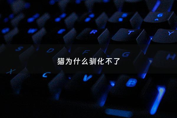 猫为什么驯化不了 - 猫为什么难以驯化