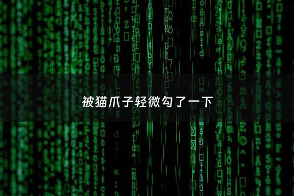 被猫爪子轻微勾了一下 - 被猫爪子轻微勾了一下有事吗