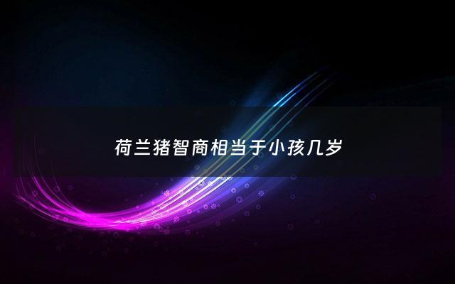 荷兰猪智商相当于小孩几岁 - 荷兰猪智商相当于小孩几岁了