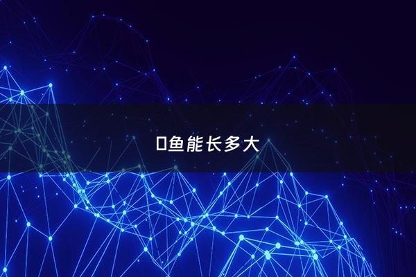 鳉鱼能长多大 - 鳇鱼能长多大