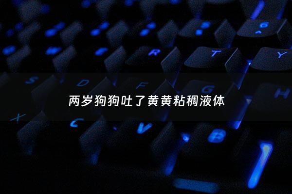 两岁狗狗吐了黄黄粘稠液体 - 两岁的狗狗吐黄水