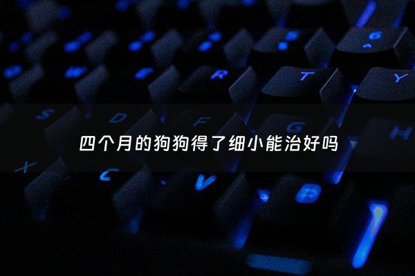 四个月的狗狗得了细小能治好吗 - 四个月大的狗狗得了细小怎么办