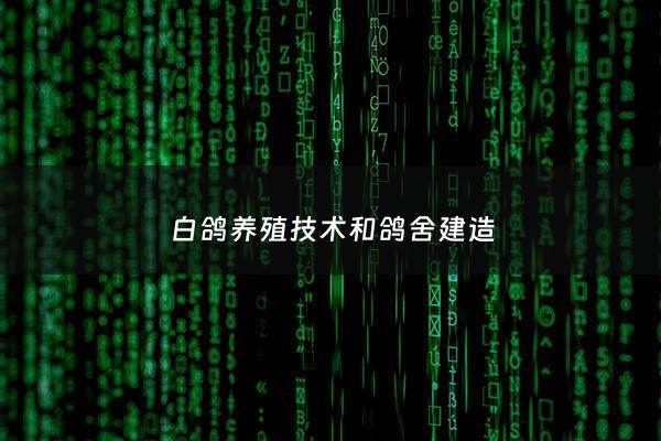 白鸽养殖技术和鸽舍建造 - 白鸽的养殖前景怎么样?