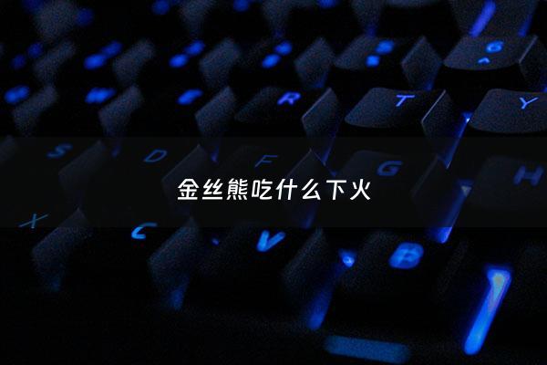 金丝熊吃什么下火 - 金丝熊吃什么小零食