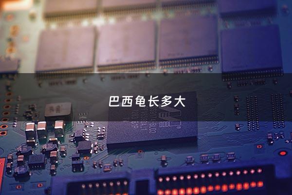 巴西龟长多大 - 巴西龟长多大适合放生