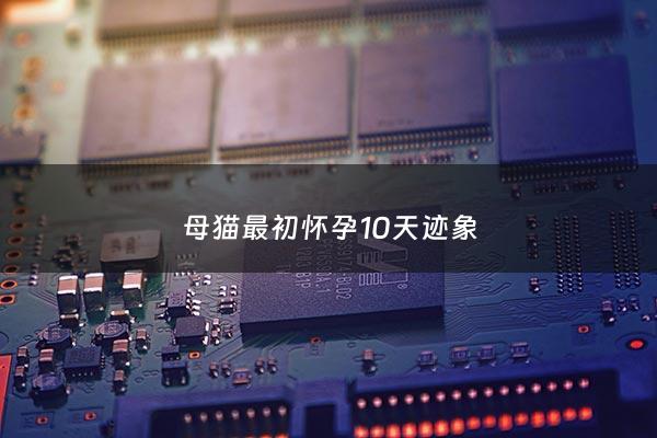 母猫最初怀孕10天迹象 - 怎么确定母猫怀孕了